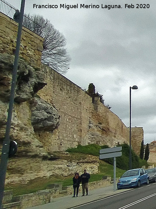 Muralla de Salamanca - Muralla de Salamanca. Lienzo del Paseo del Rector Esperab�