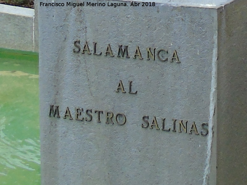 Monumento al Maestro Salinas - Monumento al Maestro Salinas. 