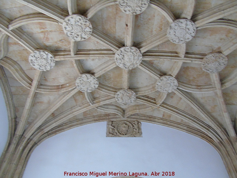 Colegio del Arzobispo Fonseca - Colegio del Arzobispo Fonseca. Bveda de crucera ante la capilla