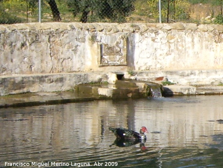 Estanque de Pedro Malena - Estanque de Pedro Malena. Entrada de aguas