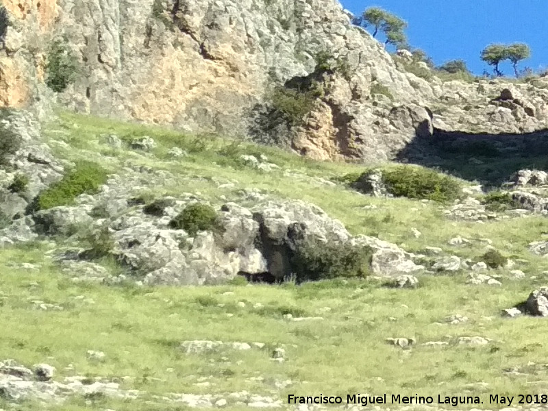 Cueva Alta de la Paraisa - Cueva Alta de la Paraisa. 