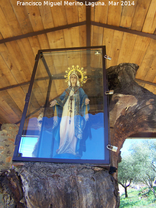 La Milagrosa - La Milagrosa. Virgen de la Milagrosa