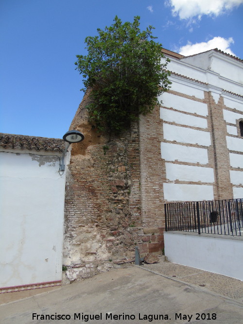 Teatro Municipal - Teatro Municipal. Antiguo muro