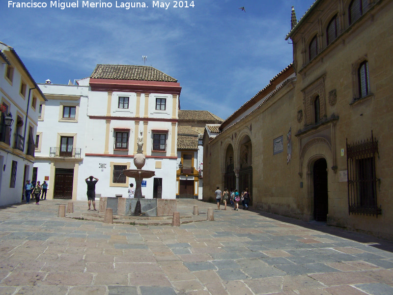 Plaza del Potro - Plaza del Potro. 