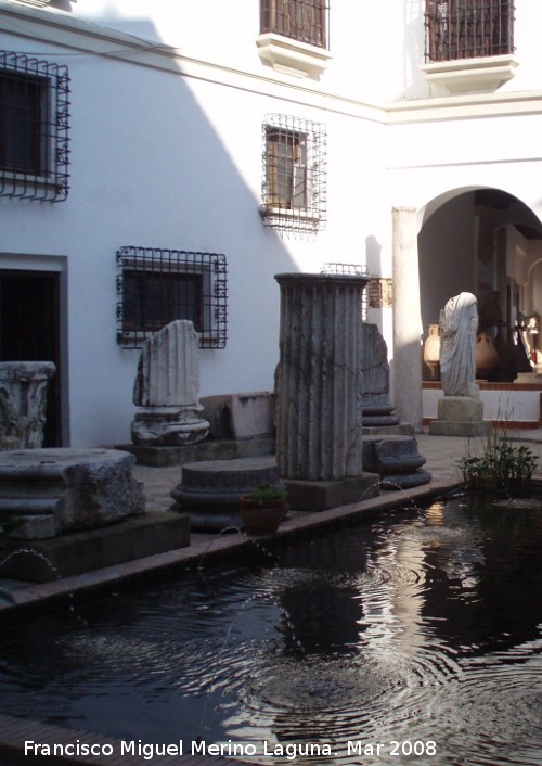 Palacio de los Paez de Castillejo - Palacio de los Paez de Castillejo. 