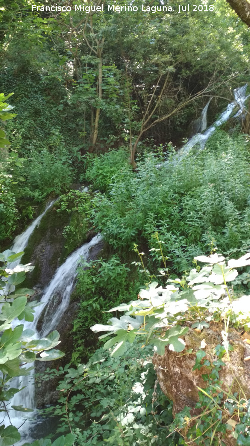 Cascada del Cerezuelo - Cascada del Cerezuelo. 