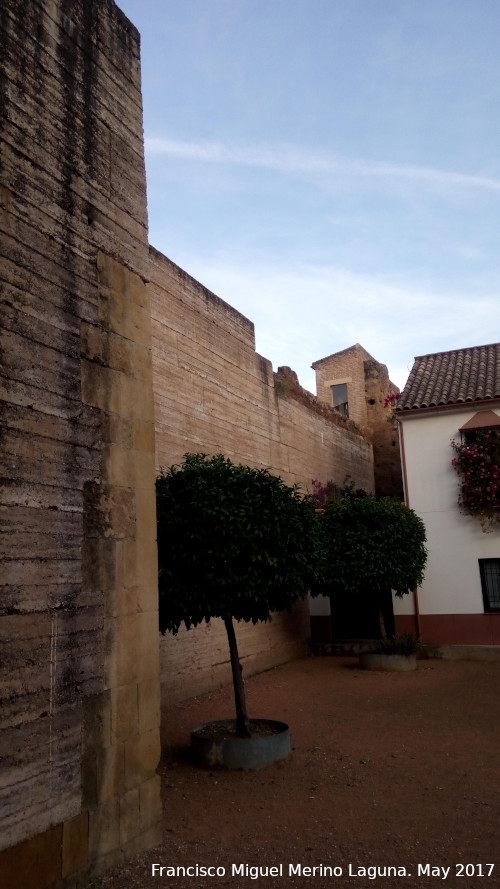 Murallas de Crdoba - Murallas de Crdoba. Muralla del Arco de Caballerizas Reales