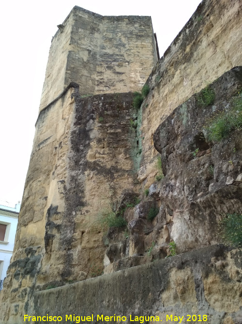 Murallas de Crdoba - Murallas de Crdoba. Torre de la Puerta del Rincn