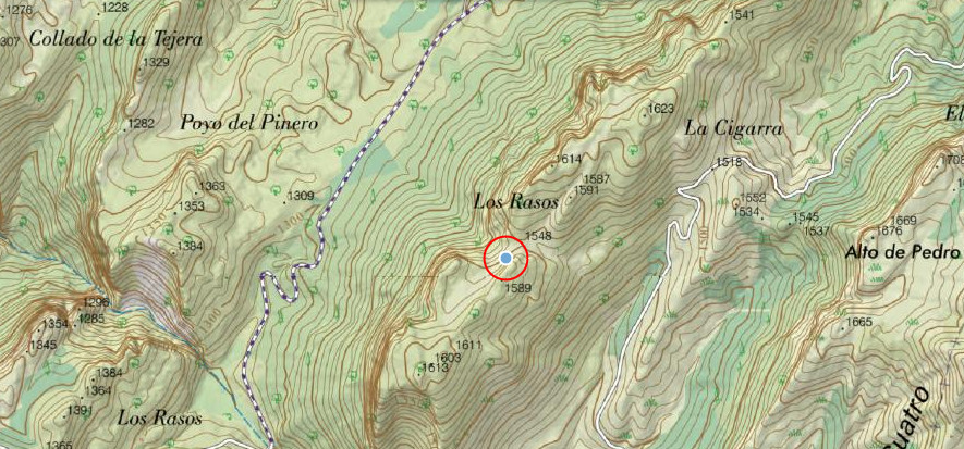 Pino de la Cigarra - Pino de la Cigarra. Mapa