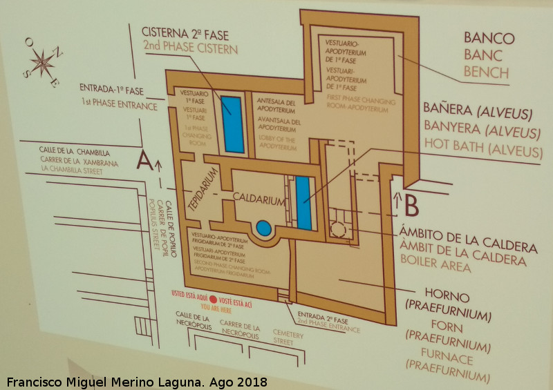 Lucentum. Termas de Popilio - Lucentum. Termas de Popilio. Plano