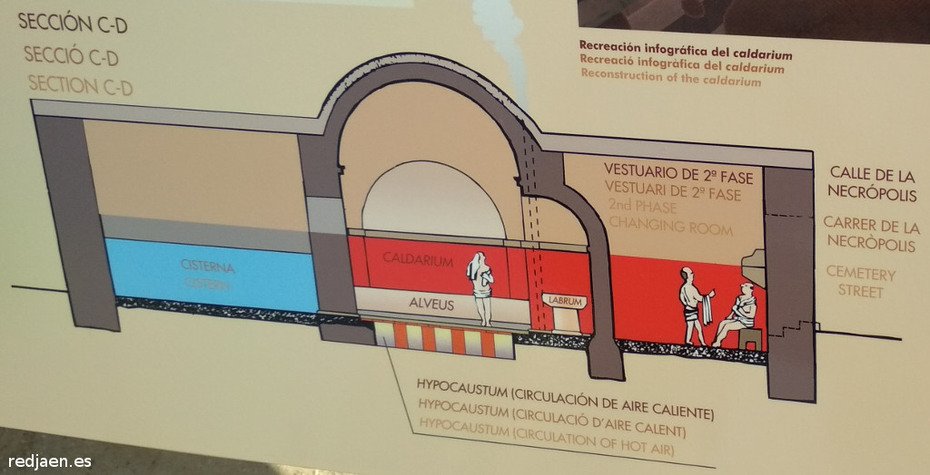 Lucentum. Termas de Popilio - Lucentum. Termas de Popilio. Seccin