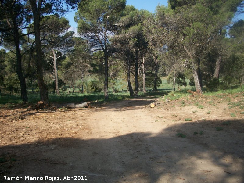 Ruta de senderismo a la Caada de las Azadillas - Cruz de la Chimba - Ruta de senderismo a la Caada de las Azadillas - Cruz de la Chimba. 