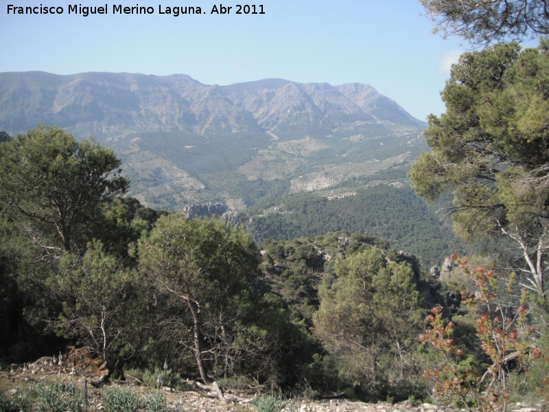 Ruta de senderismo a la Caada de las Azadillas - Cruz de la Chimba - Ruta de senderismo a la Caada de las Azadillas - Cruz de la Chimba. Ventisqueros al fondo