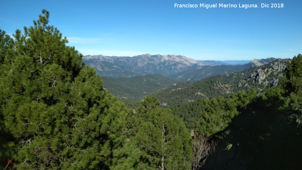 Puerto de Guadahornillos - Puerto de Guadahornillos. Vistas