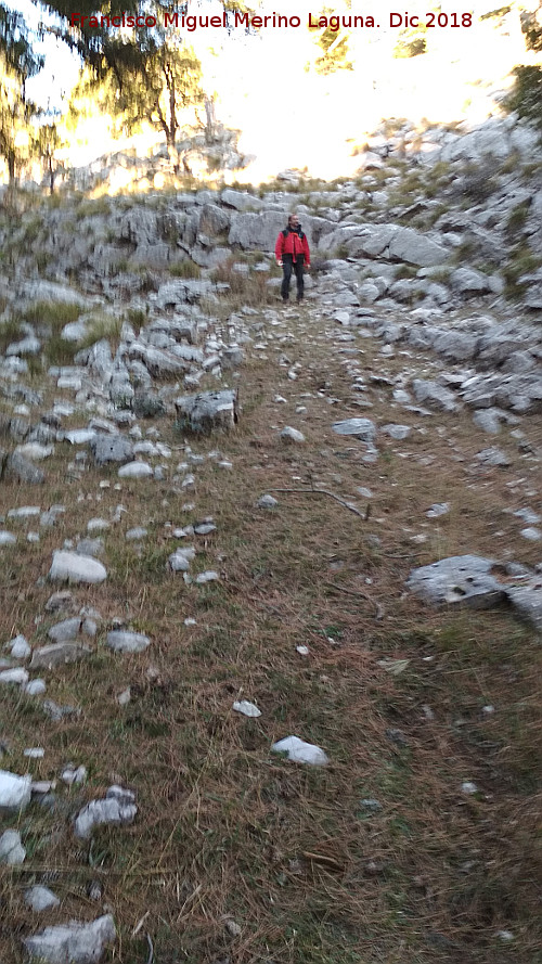 Camino viejo de Valdetrillo - Camino viejo de Valdetrillo. 