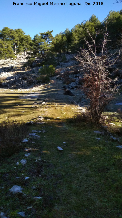 Camino viejo de la Cueva de los Alcaetes - Camino viejo de la Cueva de los Alcaetes. 