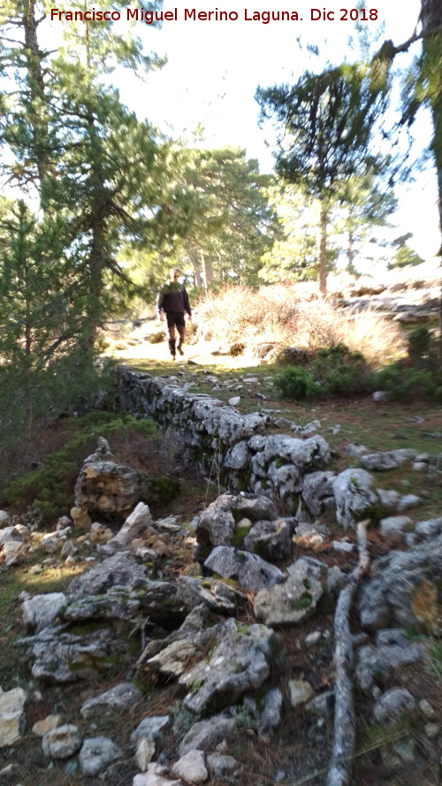 Camino viejo de la Cueva de los Alcaetes - Camino viejo de la Cueva de los Alcaetes. 