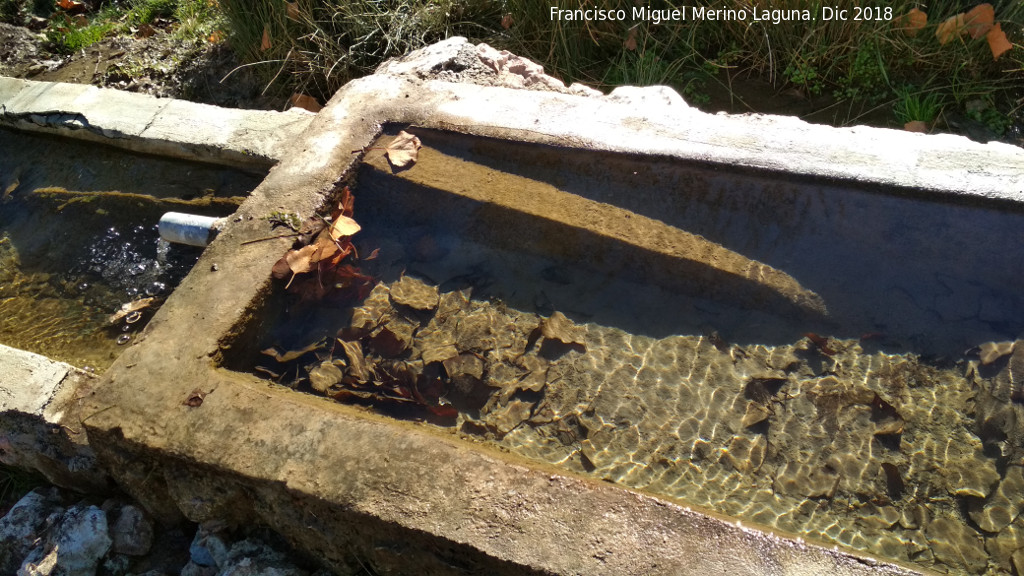 Fuente Nueva del Cao del Aguadero - Fuente Nueva del Cao del Aguadero. Rampas para anfibios