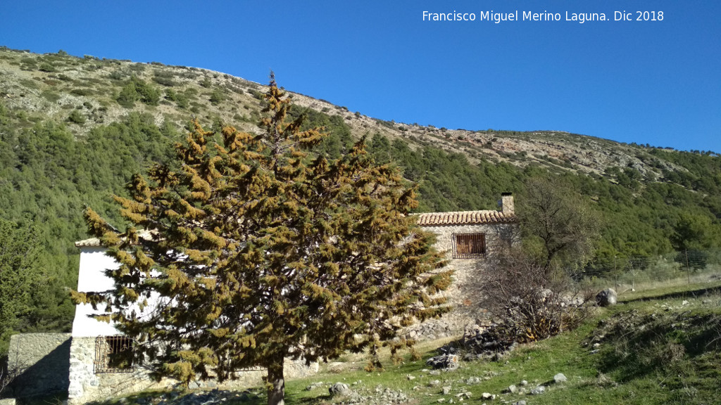 Cortijo del Valle - Cortijo del Valle. 