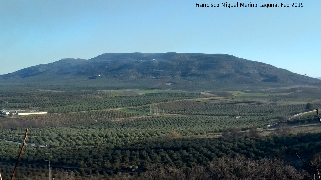 Muela de Chiclana - Muela de Chiclana. Desde Castellar