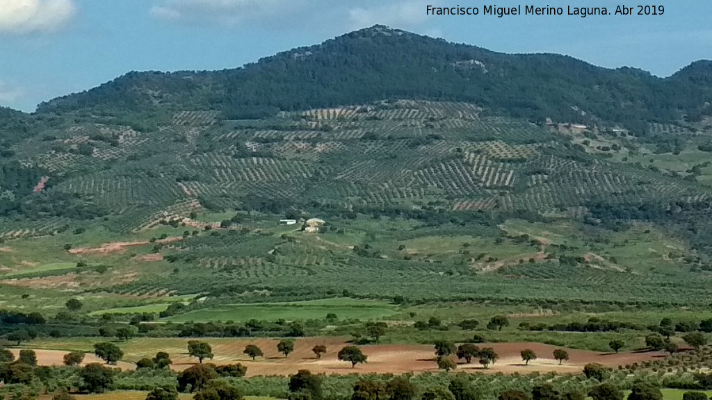 Picazo - Picazo. Desde el Castillo Torre de Zarracotn