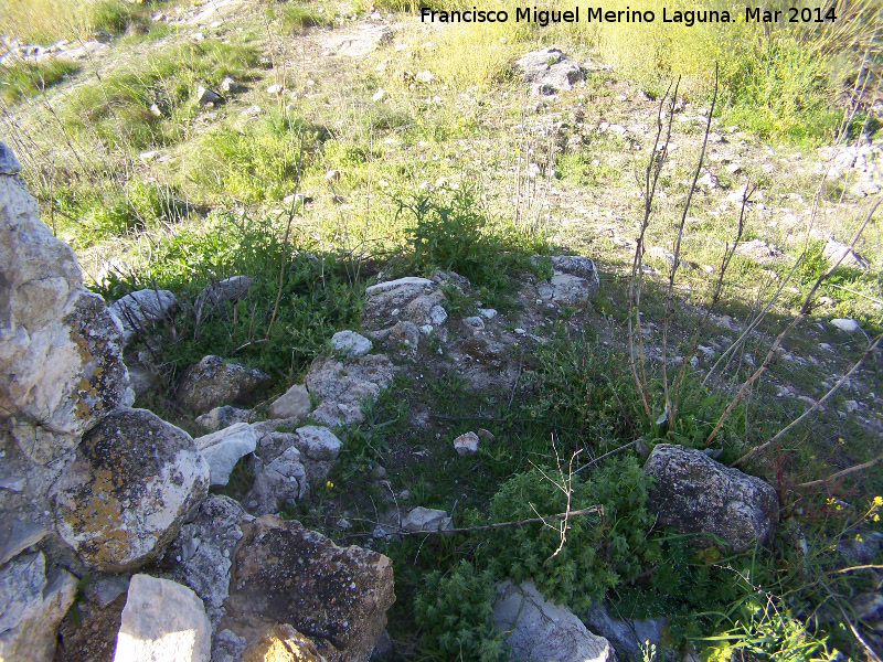 Oppidum Bora Cerealis - Oppidum Bora Cerealis. Restos de muros