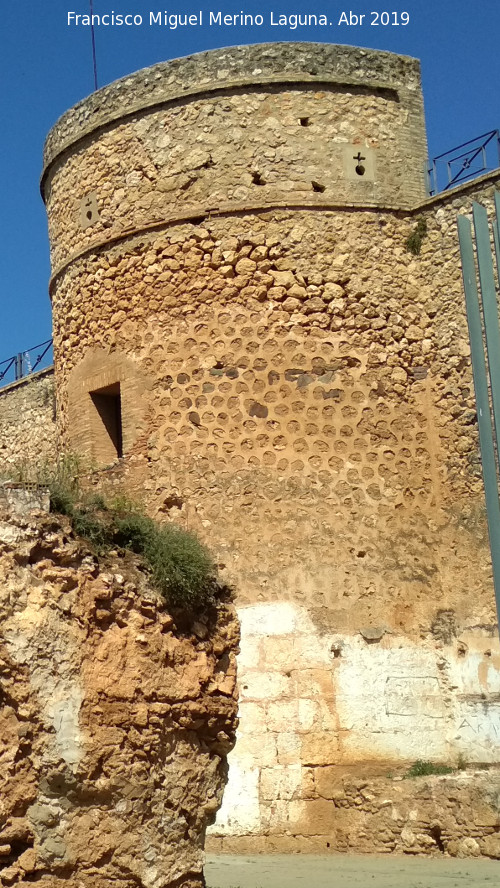 Castillo de los Guzmanes. Torre Circular Sur - Castillo de los Guzmanes. Torre Circular Sur. 