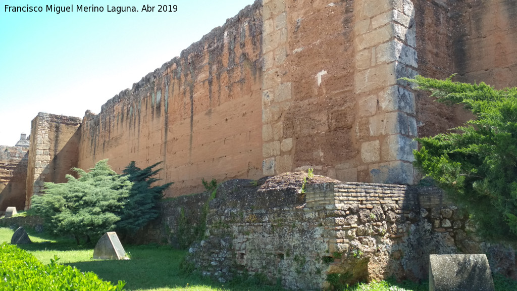 Muralla de Niebla. Torre Norte VI - Muralla de Niebla. Torre Norte VI. Antemuro