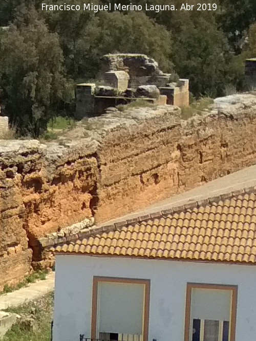 Muralla de Niebla. Torre Norte XI - Muralla de Niebla. Torre Norte XI. 