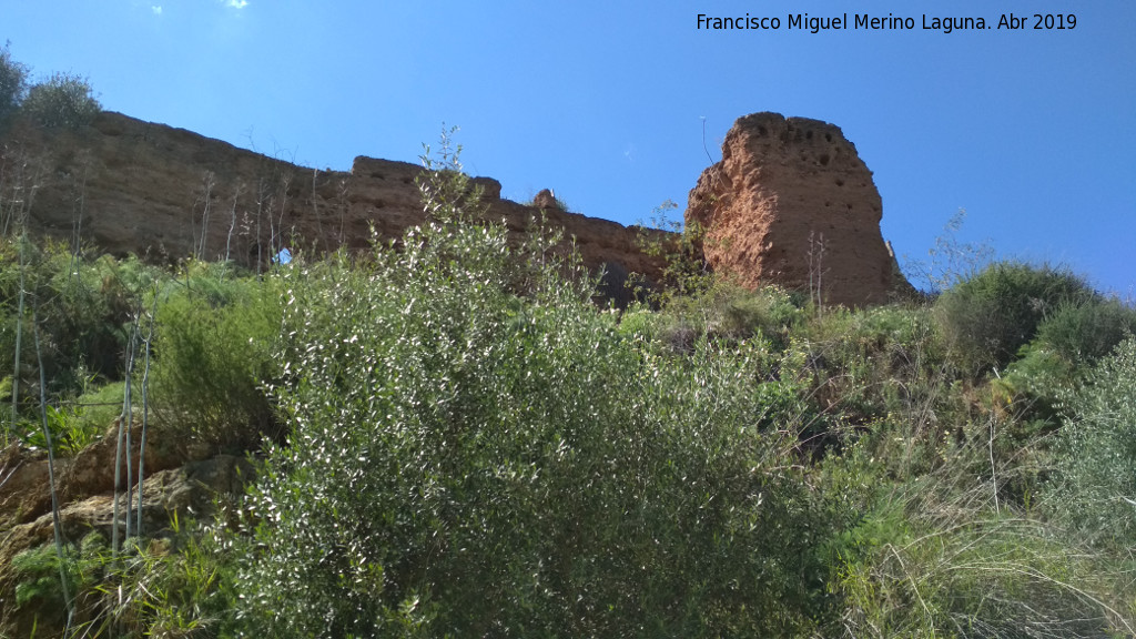 Muralla de Niebla. Torre Este II - Muralla de Niebla. Torre Este II. 