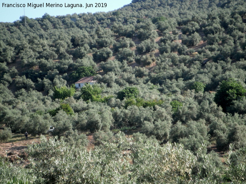 Cortijo de Peales - Cortijo de Peales. Situacin