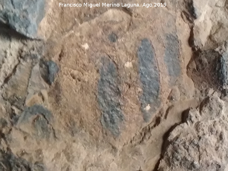 Pinturas rupestres del Matojo - Pinturas rupestres del Matojo. Barras negras