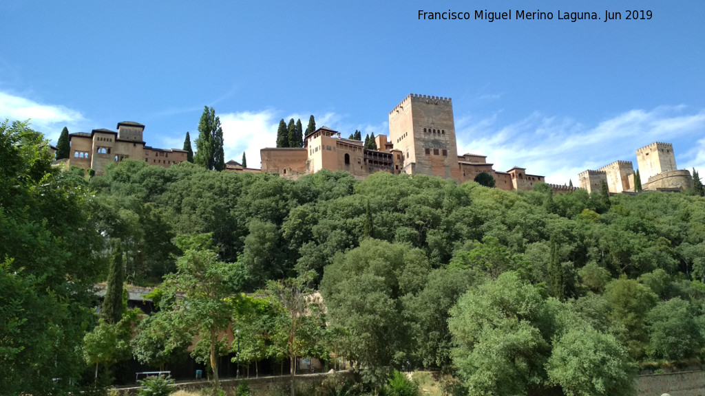 Bosque de la Alhambra - Bosque de la Alhambra. Desde el Paseo de los Tristes