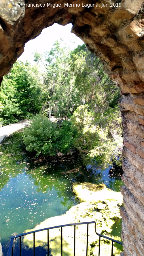 Carmen de los Mrtires. Torre - Carmen de los Mrtires. Torre. Vistas