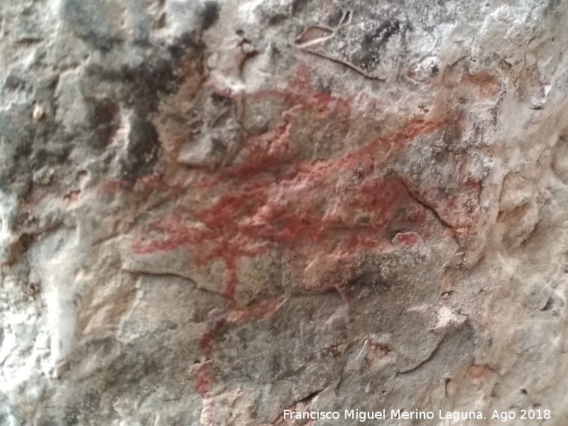 Pinturas rupestres y grabados de la Cueva de Mingo Lpez - Pinturas rupestres y grabados de la Cueva de Mingo Lpez. 