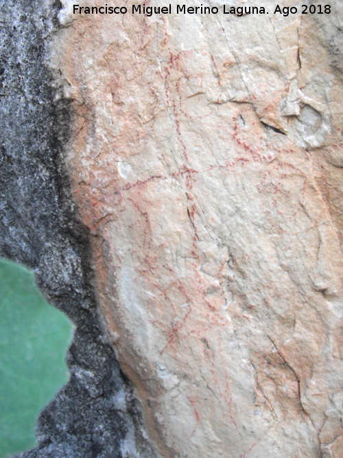 Pinturas rupestres de la Raspa de Piedra Redonda I - Pinturas rupestres de la Raspa de Piedra Redonda I. Figura cruciforme