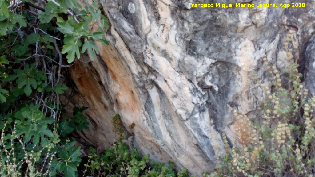 Pinturas rupestres de la Raspa de Piedra Redonda I - Pinturas rupestres de la Raspa de Piedra Redonda I. Abrigo