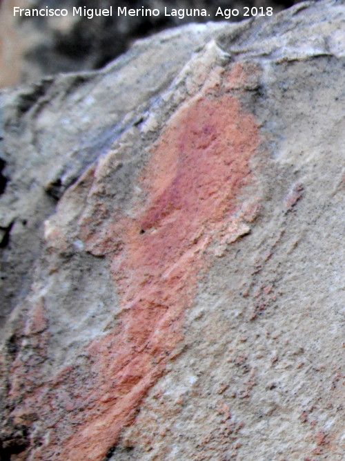 Pinturas rupestres de la Raspa de Piedra Redonda III - Pinturas rupestres de la Raspa de Piedra Redonda III. 