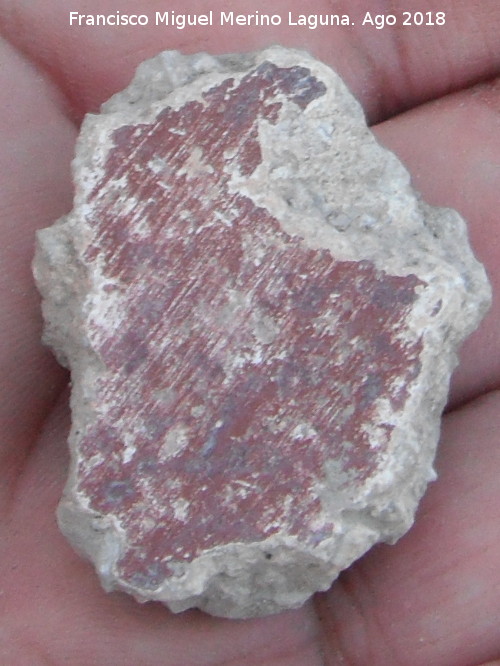 Yacimiento de la Raspa de Piedra Redona - Yacimiento de la Raspa de Piedra Redona. Estuco con almagra