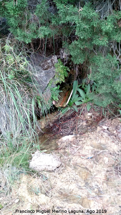 Fuente de la Pista del Molino de la Parra - Fuente de la Pista del Molino de la Parra. 