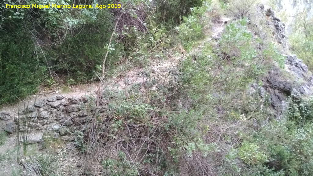 Camino del Molino de la Parra - Camino del Molino de la Parra. 