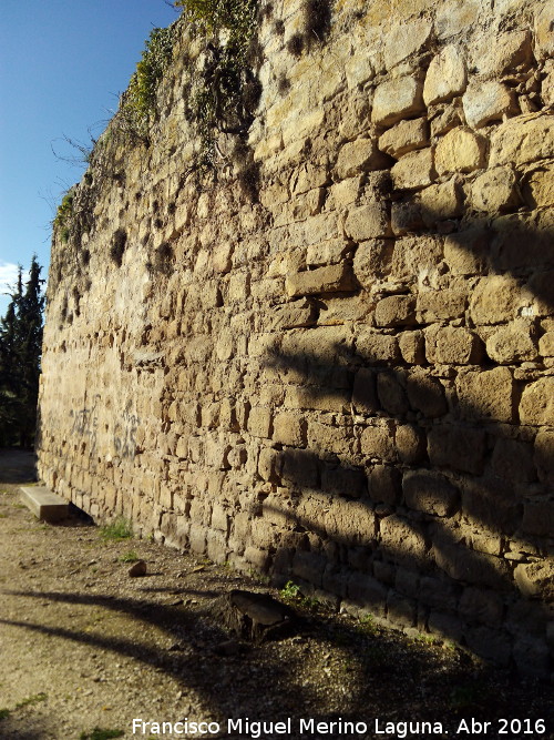 La Mota. Muralla del Arrabal Viejo - La Mota. Muralla del Arrabal Viejo. Lienzo entre el segundo quiebro y la Puerta Herrera