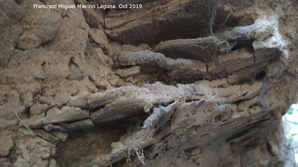Aprisco de la Ladera de la Veleta - Aprisco de la Ladera de la Veleta. 