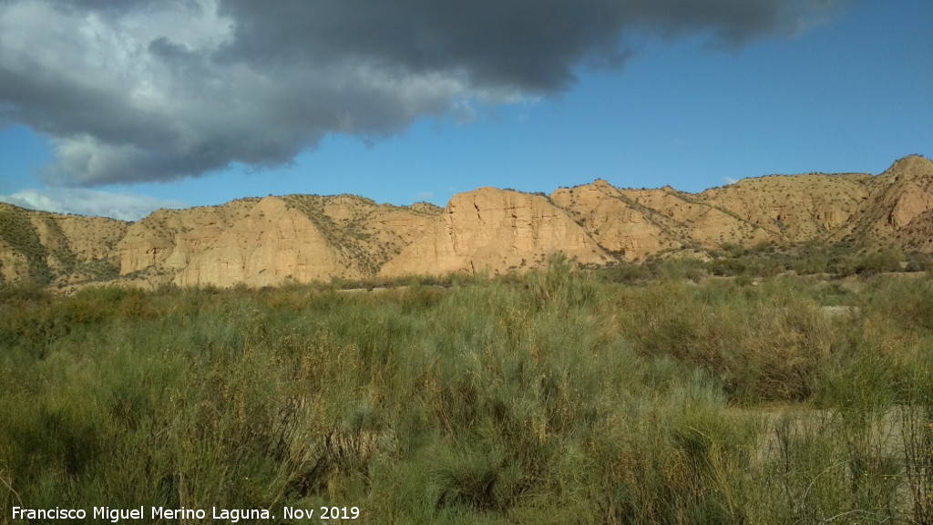 Desierto de Fonelas - Desierto de Fonelas. 