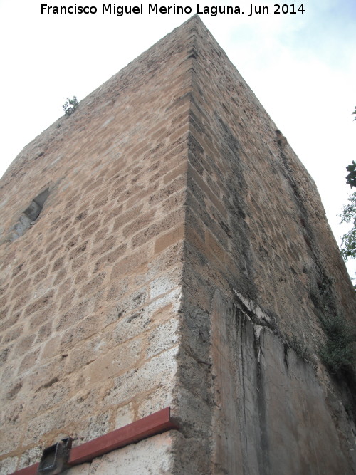 Torren de Triana - Torren de Triana. Esquina