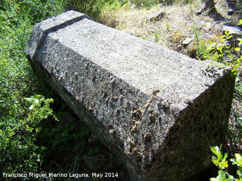 Leguario - Leguario. Leguario de la Condesa - Pegalajar