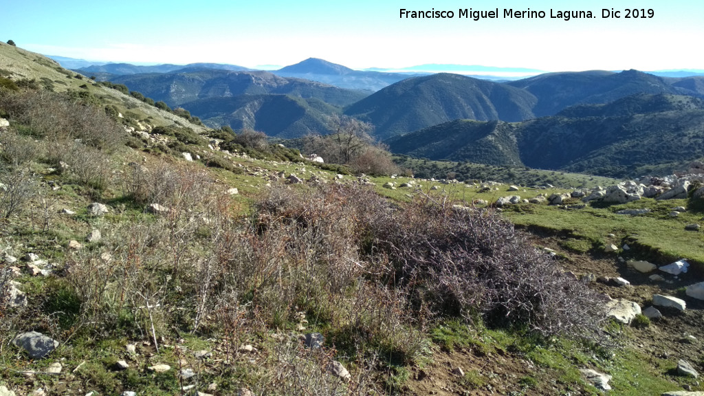 Collado del Tejuelo - Collado del Tejuelo. Vistas hacia Cerro Prieto