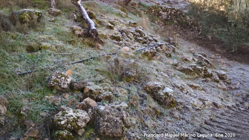 Oppidum de la Gineta - Oppidum de la Gineta. Resto de torre�n