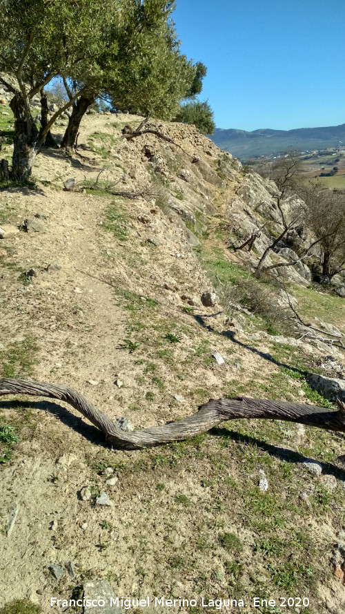 Oppidum de la Gineta - Oppidum de la Gineta. Camino de acceso
