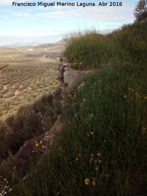 La Mota. Torre del Cantn - La Mota. Torre del Cantn. 